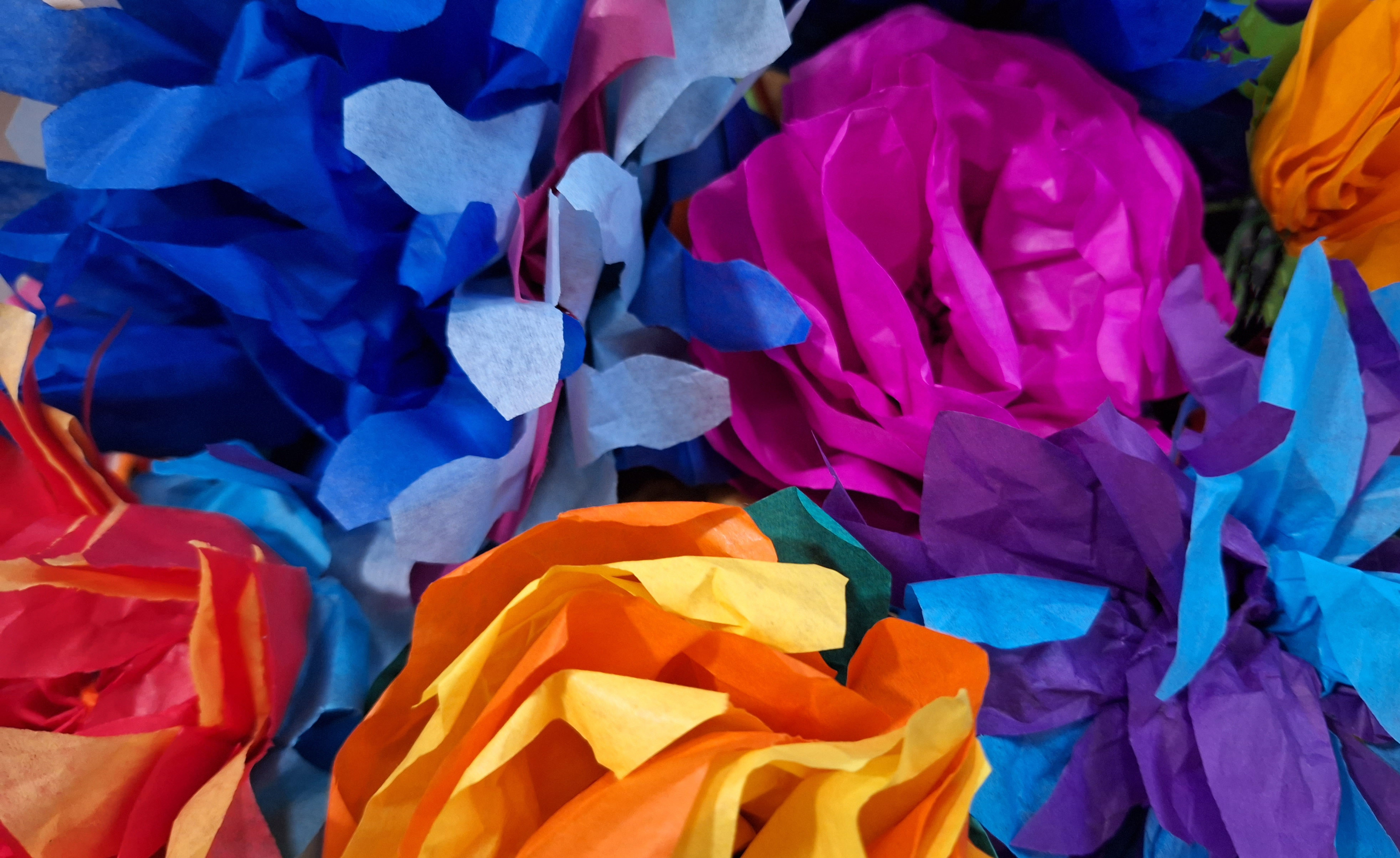 Tissue paper flowers in a variety of colours