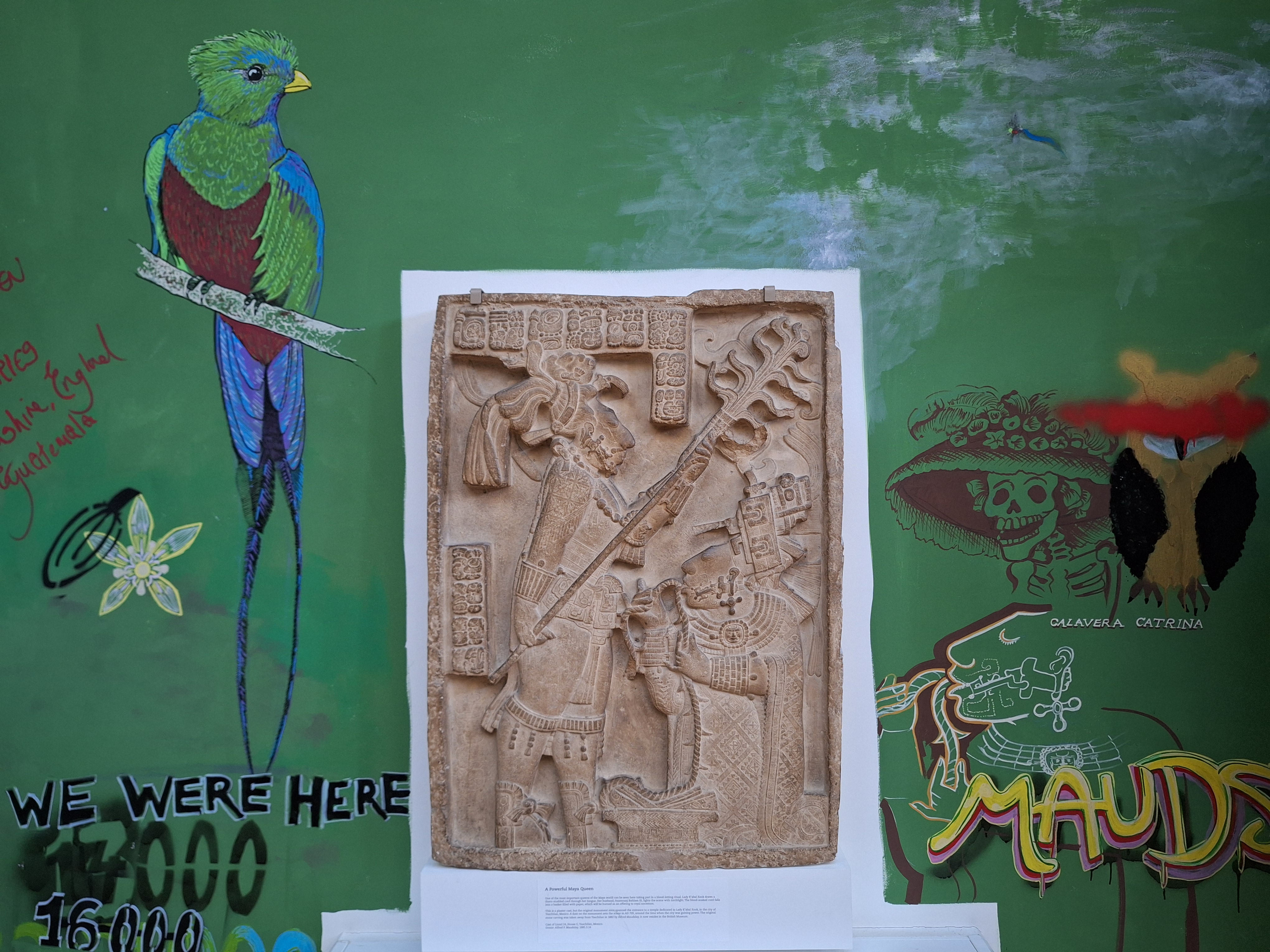 A plaster cast of a Maya carving depicting two figures. The wall around it is painted green onto which graffiti images have been added including a brightly coloured bird, a skeleton wearing a large hat and an owl with a red line over its eyes.