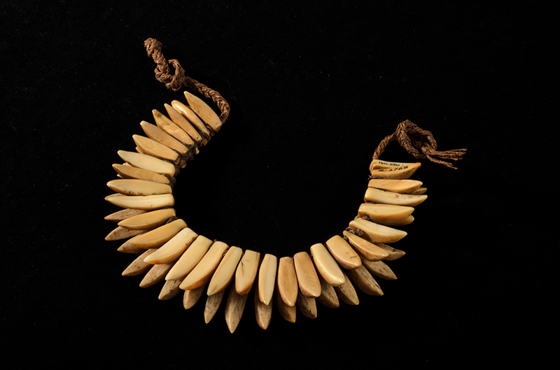 Double row necklace of whales teeth
