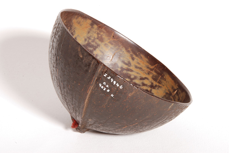 Small drinking cup made from half a coconut shell. Inside is very polished and smooth, and has a yellow-dish patina. 