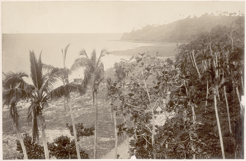 Sepia photograph of a shoreline with trees visible in the foreground and beyond the beach on the right hand side.