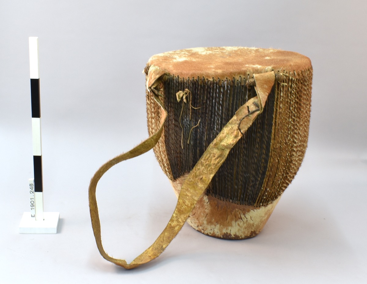 Large conical wooden drum, with a wide top that tapers down to a narrow, truncated base. Both ends of the drum are covered in hide; hair still attached to hide. Sides of drum features closely-spaced lacing made from thin strips of twisted hide, securing b