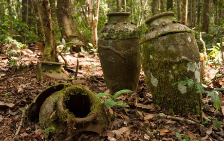 Image of ceramic vessels in a forest