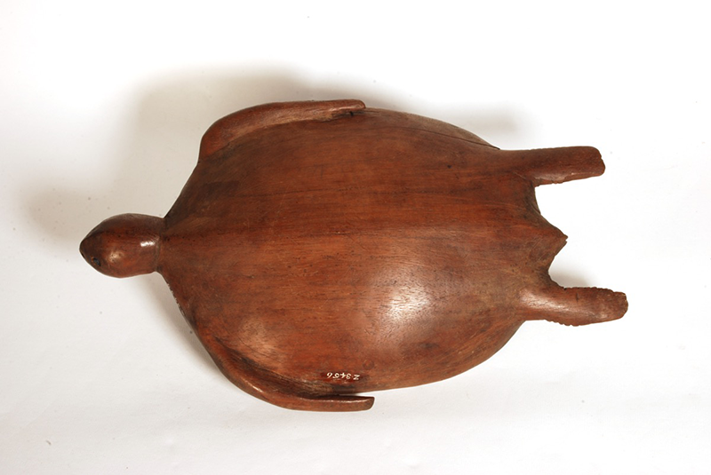 Turtle-shaped yaqona bowl carved from a solid piece of vesi wood. The head of the turtle is facing down when the bowl is used.