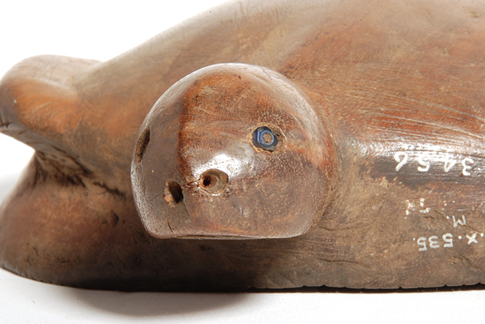 Head detail of the turtle yaqona bowl, with the blue inlaid eye detailing clearly visible.