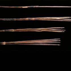 Aboriginal spears