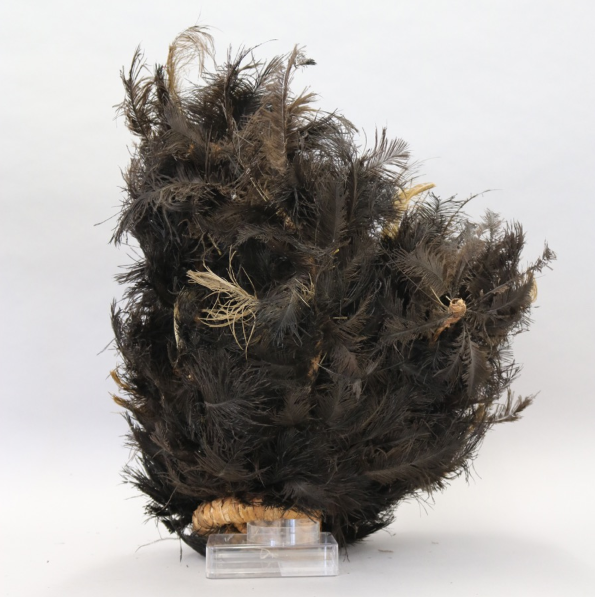 A large headdress made from black ostrich feathers bound onto a frame made from wrapped plant fibres. A head pad is made from a ring of wrapped plant fibres, with a strap of cotton attached.