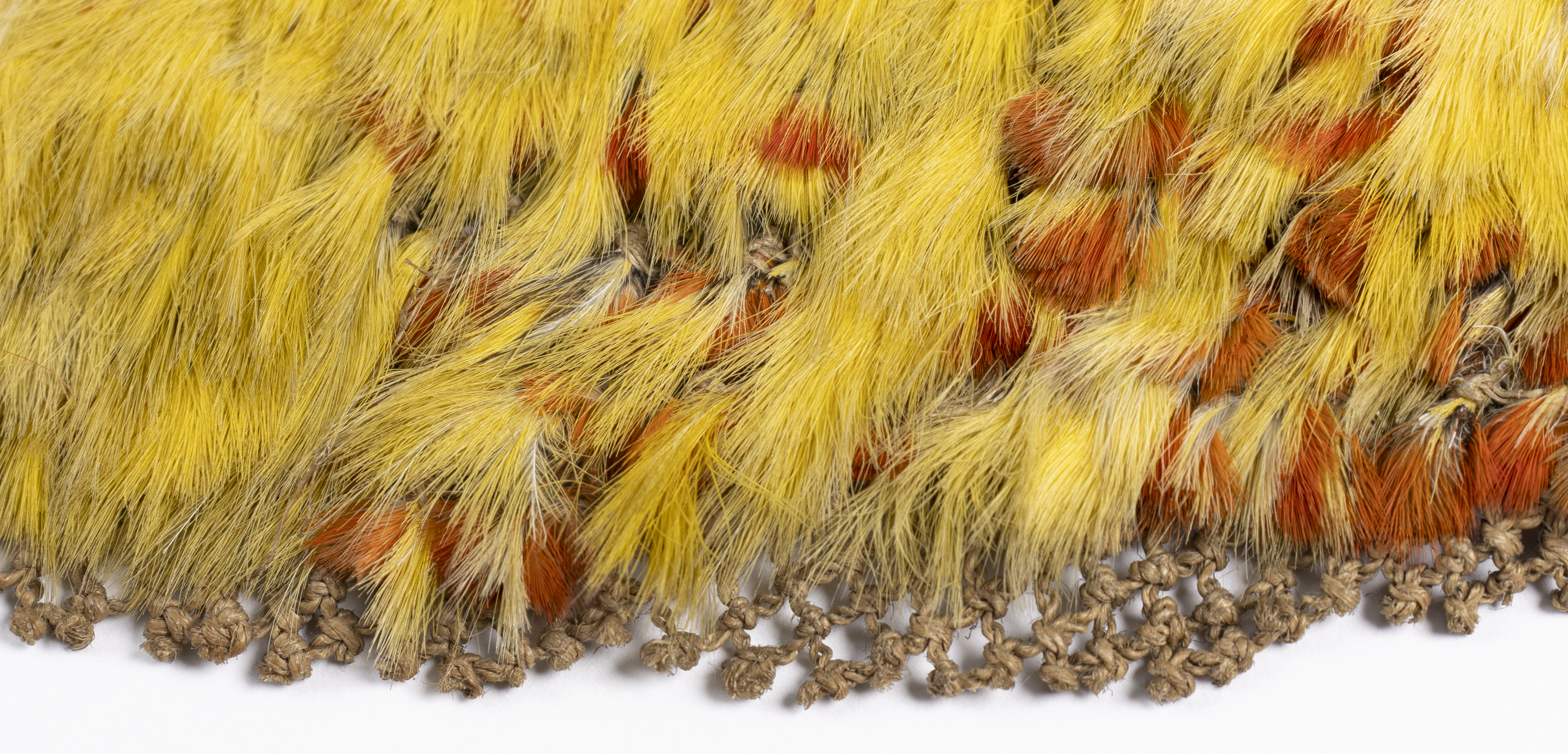 The edge of an 'ahu'ula made from small red and yellow feathers. The plant fibre mesh onto which the feathers are attached is visible at the edge of the cloak.