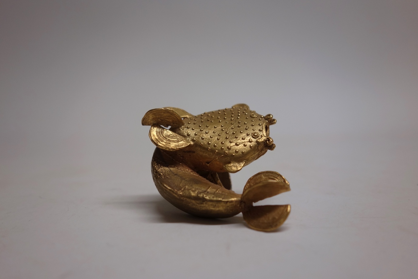 Golden ring in the shape of a catfish. Against a grey background.