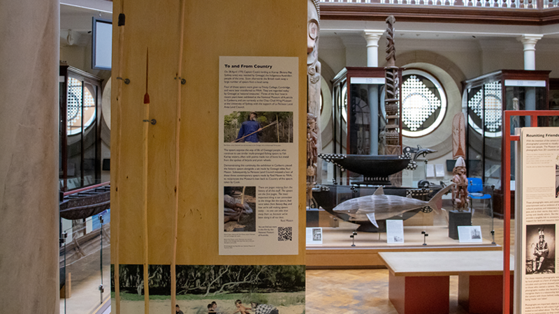 A gallery shot of the new spears display, showing three spears against a wooden stand. The Maudslay gallery and various cases and objects are visible behind it.