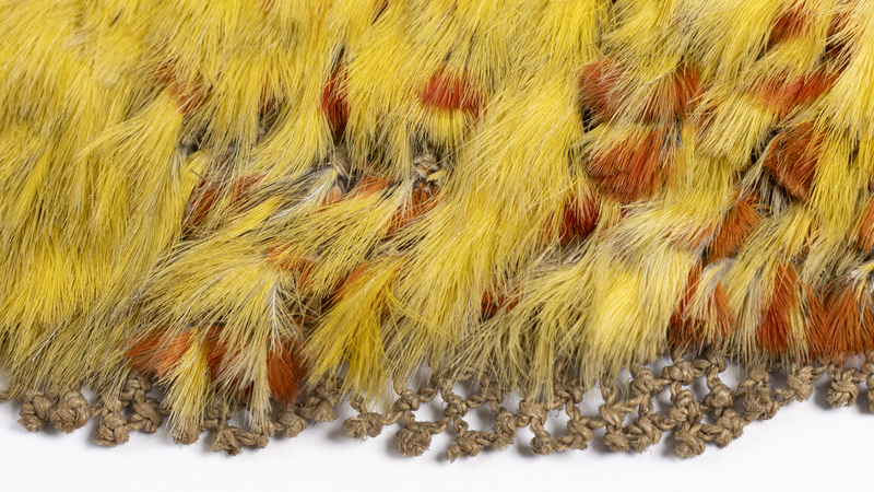 The edge of an 'ahu'ula made from small red and yellow feathers. The plant fibre mesh onto which the feathers are attached is visible at the edge of the cloak.