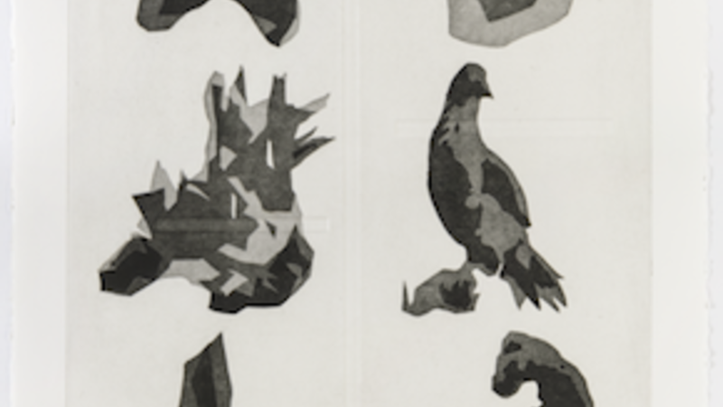 Black and white print showing six abstract shapes against a white background. objects reflect museum objects like a bird, sculptures, and other objects.