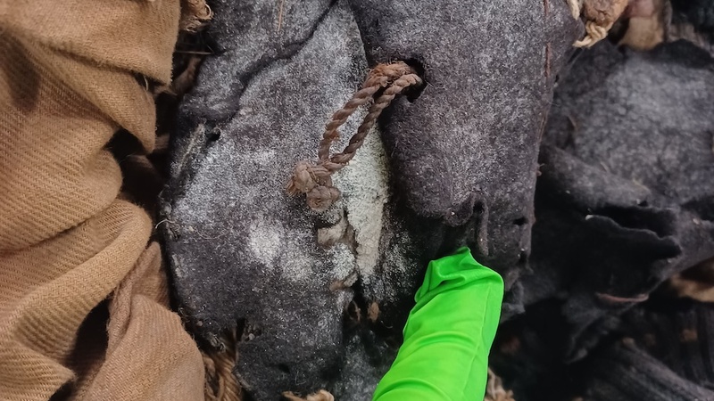 A hand wearing a latex glove points to a white powder on the surface of a textile object.