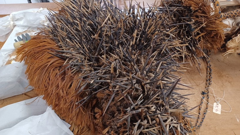 A costume which is covered hundreds of porcupine and strands of plant fibre.