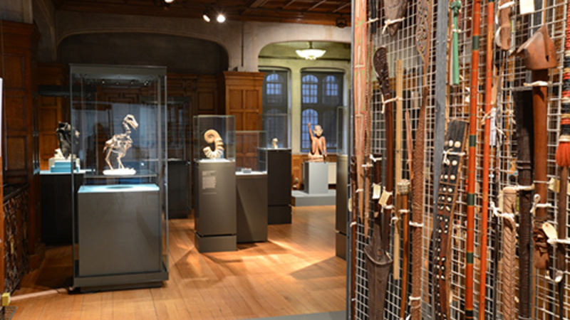A view of the exhibition
