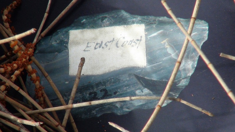 Image for the Lost World (Part 2)