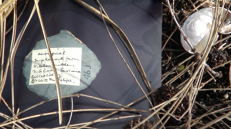 Art installation with stone and shell