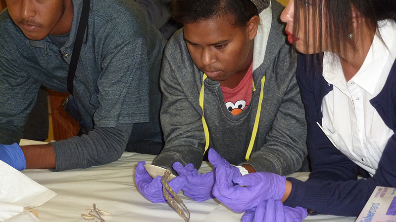 Tagai State College students Stephen Yamashita and Tanisha Pabai with teacher Deborah Belyea looking at a dibidibi shell pendant collected by Alfred Haddon in 1898.