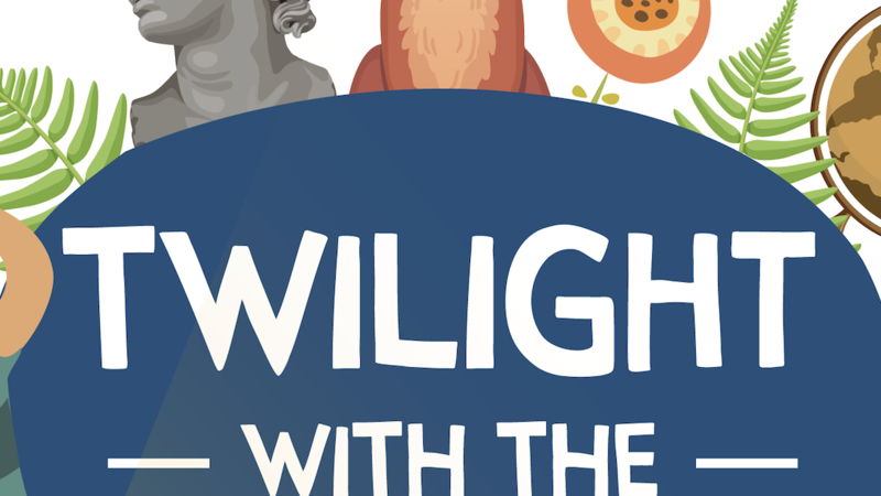 'Twilight with the Museums' banner, with illustrations of children and families enjoying activities from all over the Cambridge Museums and leaves interspersed. 