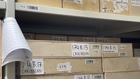 Shelving in the museum's off-site store holding wooden boxes which contain archaeological material from the Caribbean.