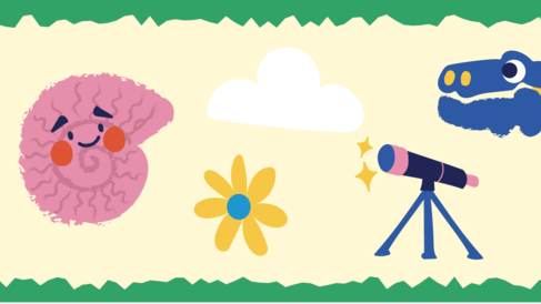 Illustrations representing Cambridge's museums, including a dinosaur skull, paint brush, butterfly and telescope.