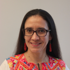 Dr Jimena Lobo Guerrero Arenas