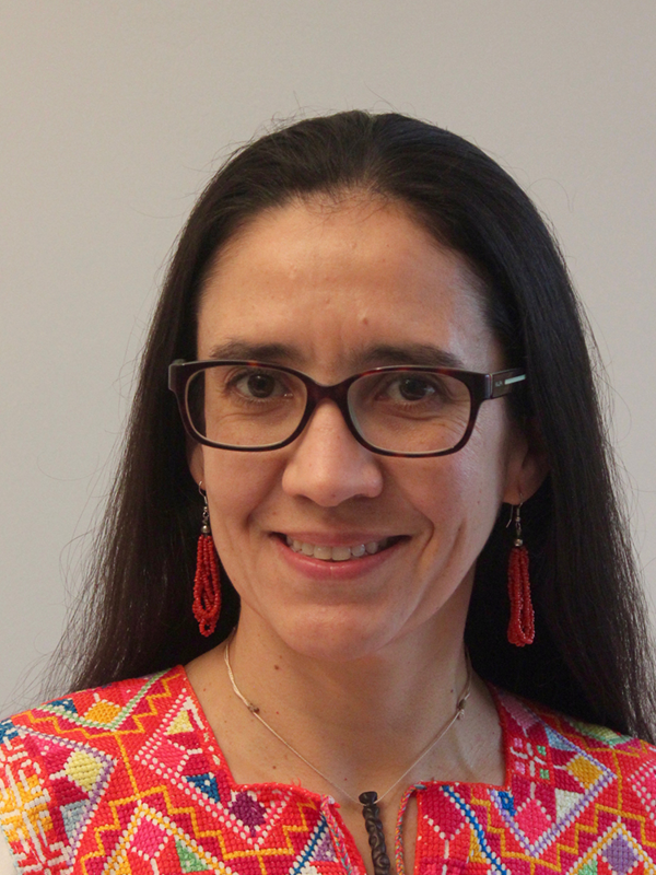 Dr Jimena Lobo Guerrero Arenas