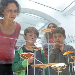 Visitors viewing items in the Clarke Gallery