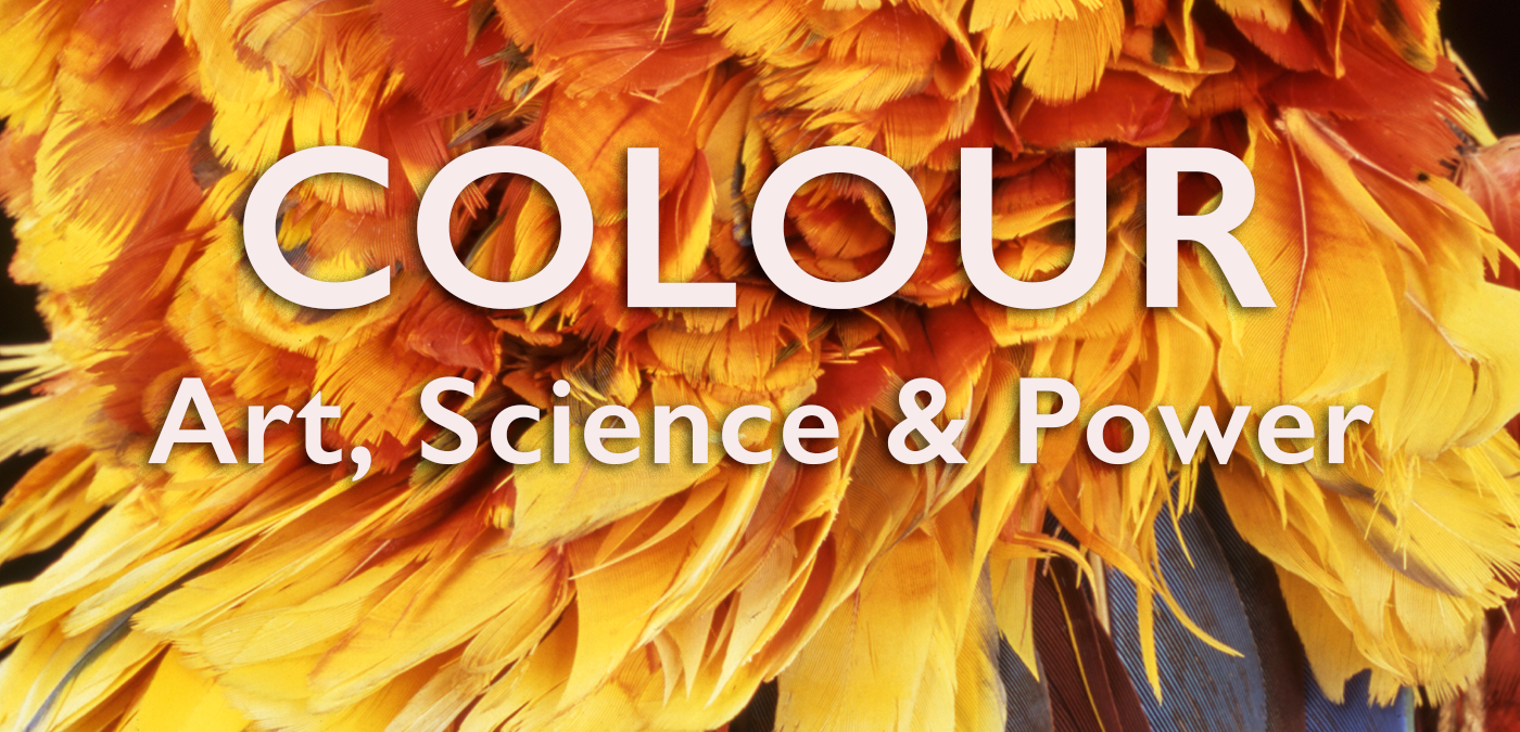Close up image of a feather cloak, with details of yellow, red and orange feathers with blue plumage visible. The words 'COLOUR: Art, Science & Power' are overlaid.