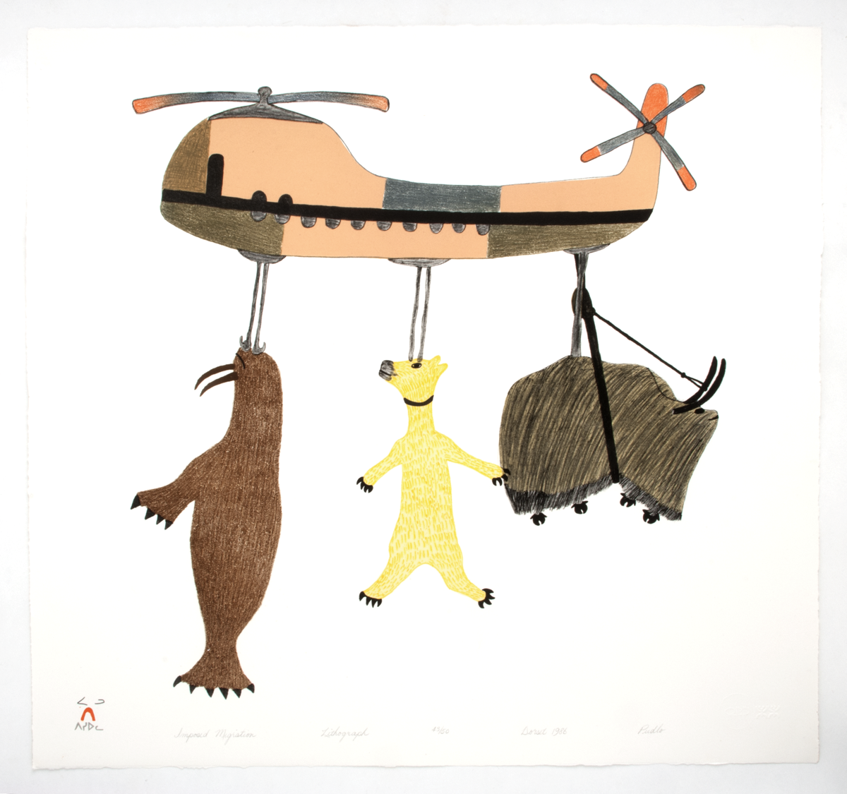 Lithograph titled 'Imposed Migration' by Pudlo Pudlat. The print shows a walrus, a polar bear, and a musk ox suspended from an orange chinook helicopter