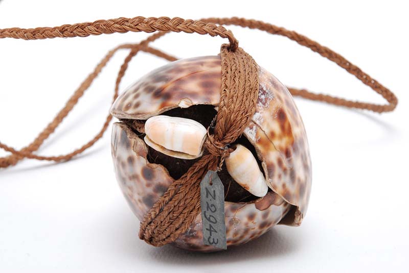 Front view of the octopus lure. Two cream coloured shells are woven into the string around the lure. An identification tag with 'Z 2943' is visible.