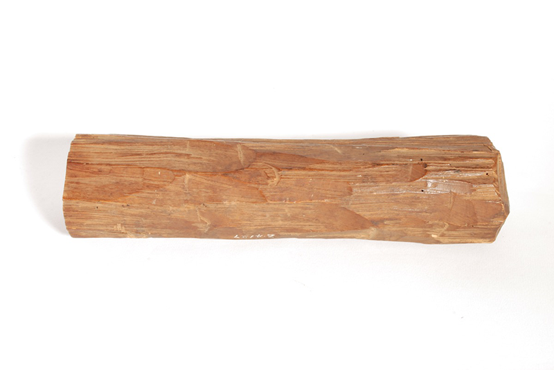 Sample of sandalwood, formed of a single and rather large section of a branch. The bark has been removed (there are marks probably left by adzes throughout the surface).