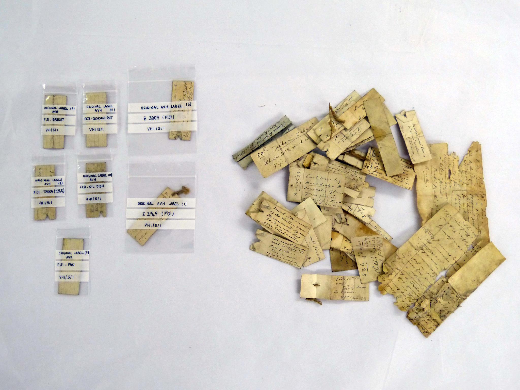 Original AVH labels for objects from Fiji