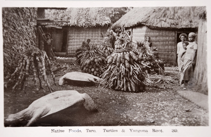 Two turtles and piles of root vegetable, tied up, lie in front of houses, with people standing nearby
