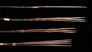 Aboriginal spears