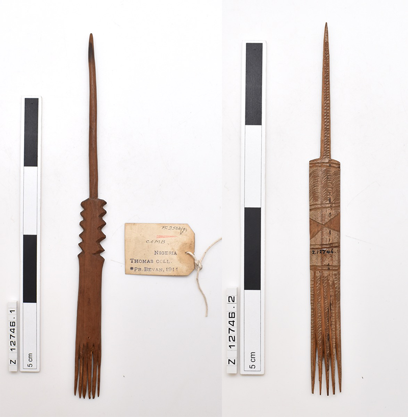 Two combs carved from wood.