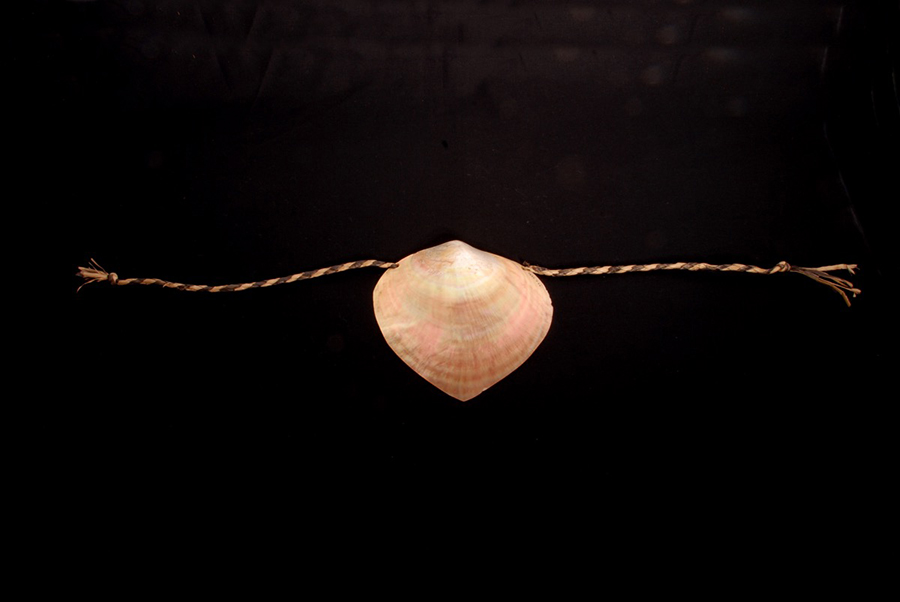 Pearlescent shell breastplate strung onto a fibre cord. It gleams of pinks and pearl shades.
